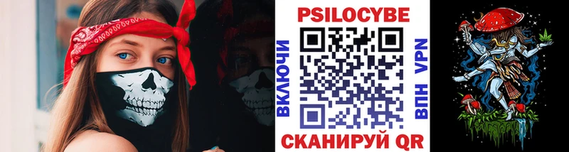 Галлюциногенные грибы Cubensis  Купить  Зеленоградск 