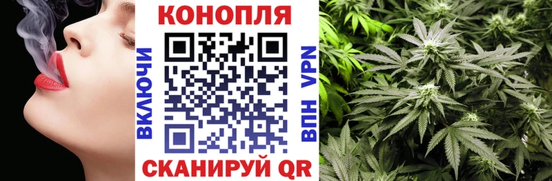 Купить  Зеленоградск  Конопля семена 